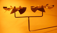 veskutin 25